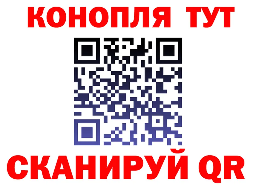 APVP VHQ вход площадка OMG Спасск-Дальний